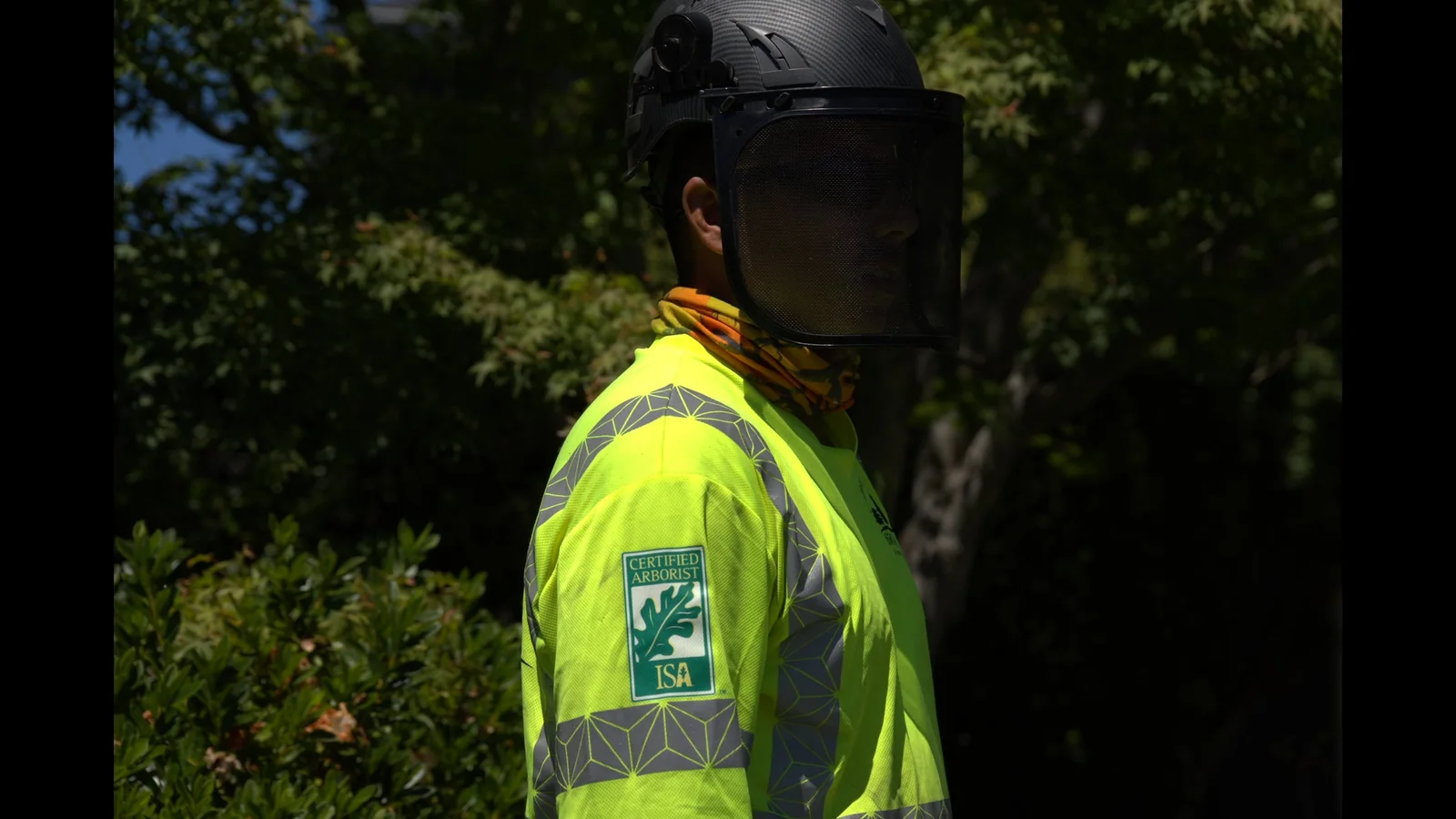 Zambrano ISA Certified Arborist in full PPE and safety visor
